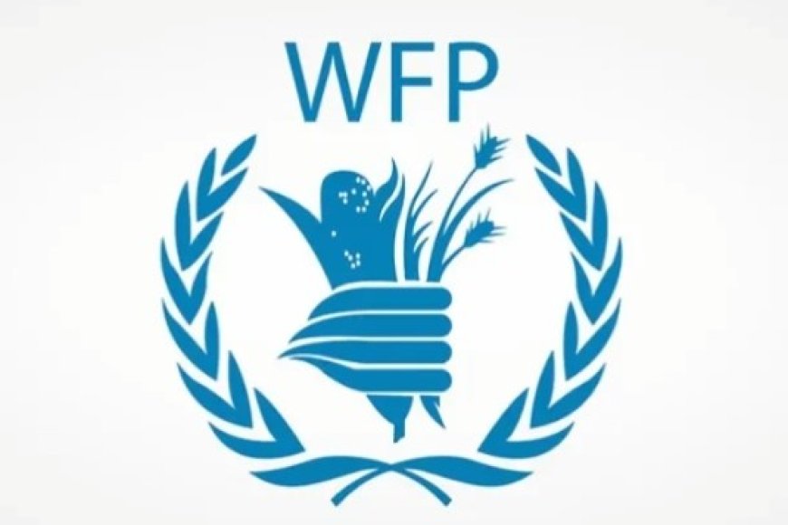 برنامج الأغذية العالمي يقلص مساعداته في حضرموت بسبب التمويل....