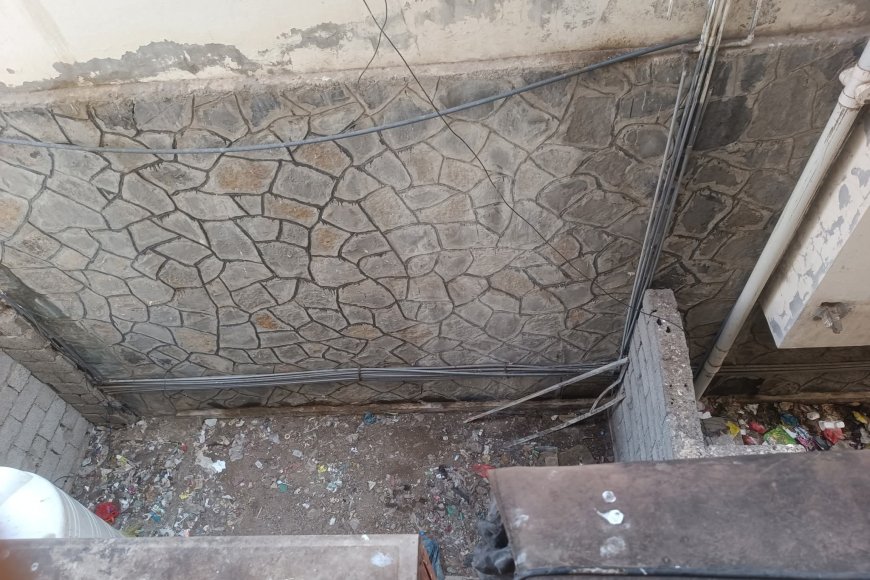 الناشط السياسي عارف ناجي علي:يثمّن استجابة سلطات المعلا لرفع المخلفات ويطالب بإجراءات رادعة لوقف رمي القمامة من النوافذ