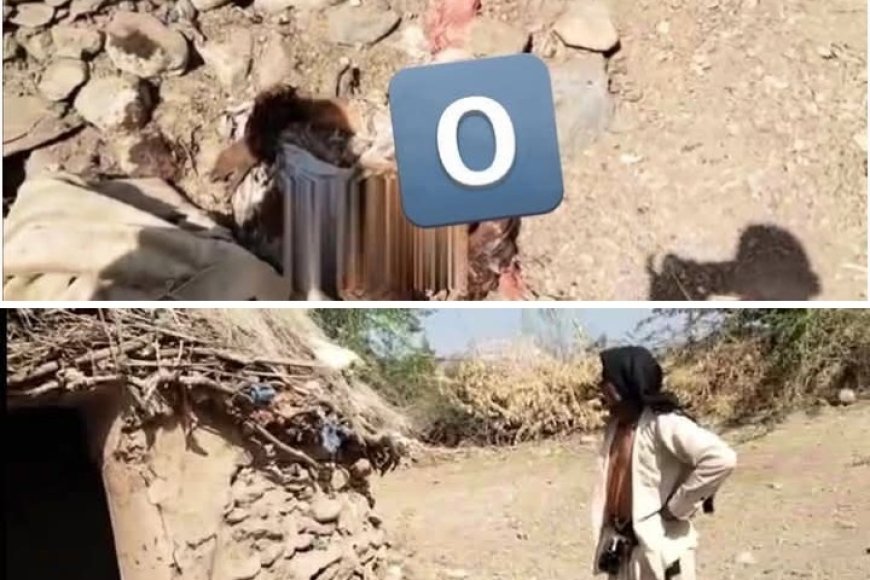 مؤسسة تهامة للحقوق والحريات تدين الجريمة الحو..ثية الوحشية بحق المواطنة زينب علي جناح...