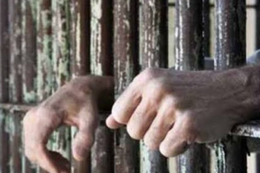 مركز أمريكي يطالب الحو...ثيين بالإفراج عن جميع  المعتقلين السياسيين...