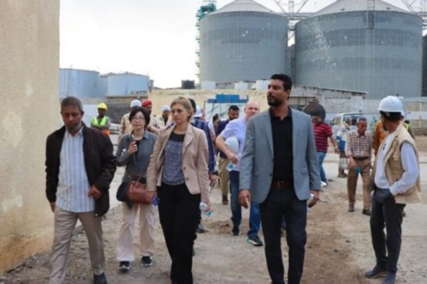 وفد من البنك الدولي يزور منظومة الصيد في مركز الدوكيارد في العاصمة عدن...