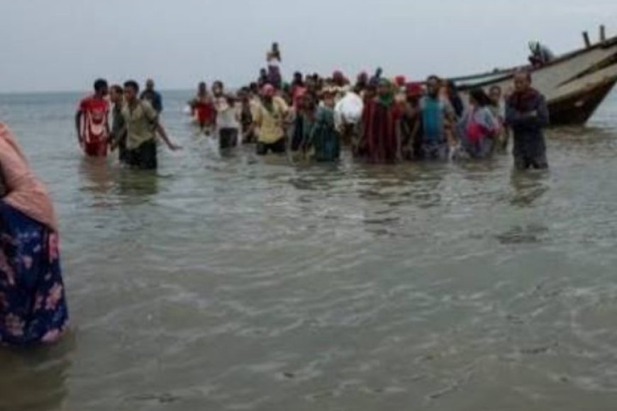 وصول دفعة جديدة من المهاجرين الأفارقة غير الشرعيين إلى سواحل مديرية رضوم بشبوة...