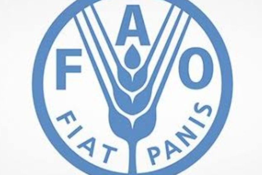 تحذير أممي من صقيع وجفاف يهددان الزراعة في اليمن.....