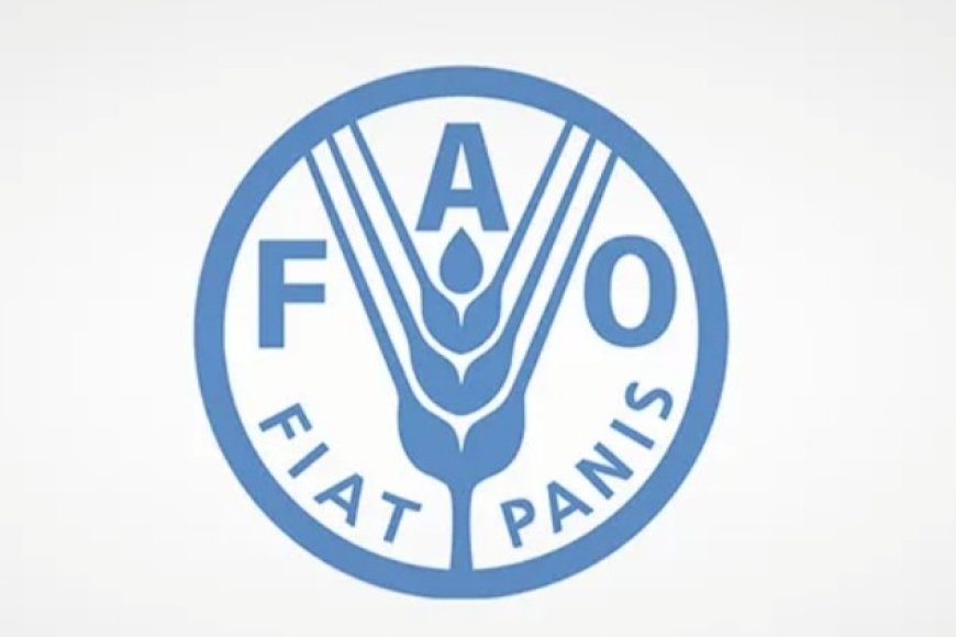 منظمة الفاو تحذر من وضع إنساني شديد الخطورة في اليمن .