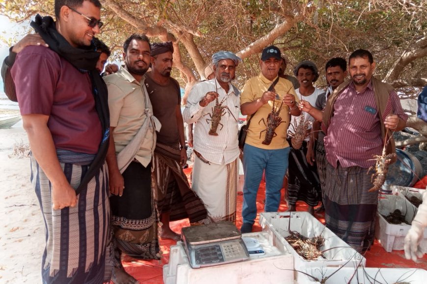 نزول رسمي لمتابعة موسم الشروخ الصخري في الشريط الساحلي لمنطقة قعره بسقطرى