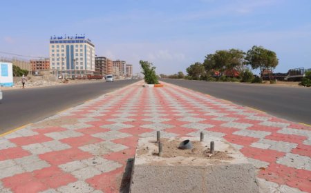 برعاية وزير الدولة محافظ العاصمة عدن ..  الصراري يزيح الستار عن إنارة أهم الشوارع الحيوية بعدن 