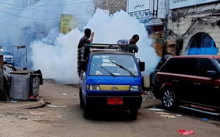 عدن.. حملات مكثفة للرش الضبابي في صيرة لمكافحة البعوض والحشرات