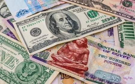 وداعاً للسوق السوداء في مصر