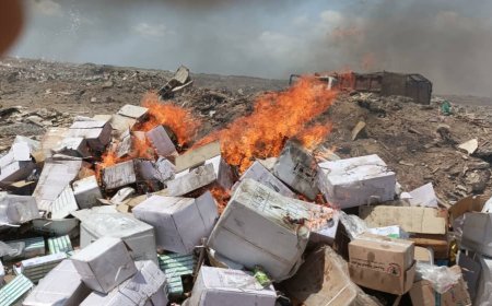 *مدير عام المنصورة يوجه بإتلاف ( 4 ) طن من الأدوية المنتهية الصلاحية*