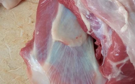 وسط تساؤلات أين دور الرقابة..الكيلو اللحم يصل إلى 15 الف في عدن 