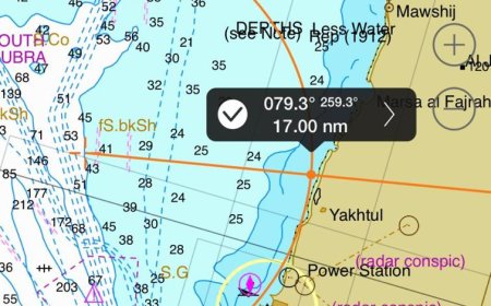 كارثة بيئية تهدد المياه الإقليمية اليمنية غرق سفينة " روبيمار" يثير مخاوف جديدة