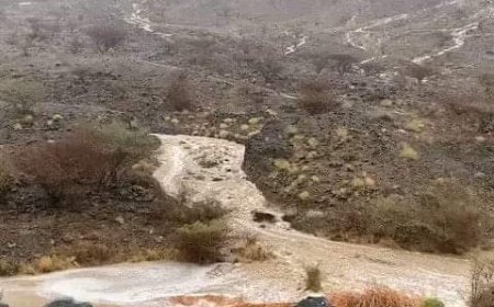 أمطار غزيرة تشهدها ذمار (صورة)