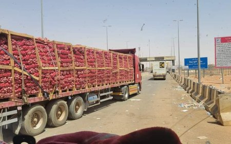 بدون أي تفتيش..هذه هي الفئة الوحيدة المسموح لها بالدخول الى السعودية