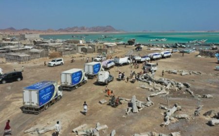 بدعم الهلال الأحمر الإماراتي.. الخلية الإنسانية تدشن مشروع توزيع 30 ألف سلة غذائية في 5 محافظات