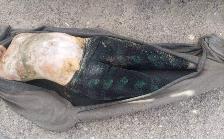 عاجل:تفاصيل أولية..العثور على جثتين لإمراتين في الحديدة (صورة)