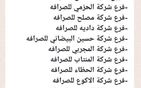 ما أهمية عقوبات البنك المركزي بحق البنوك وشركات الصرافة المتمردة وأثرها في تحسين استقرار صرف العملة..وماذا بعد؟!