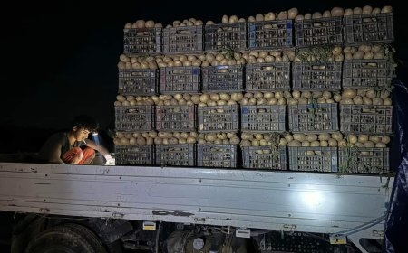 لهذا السبب..خسائر فادحة تعرض لها المزارعين في مأرب