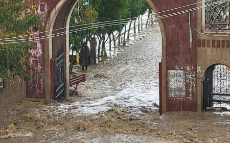 هكذا تبدو بوابة جامعة صنعاء من قوة تدفق السيول (صورة)