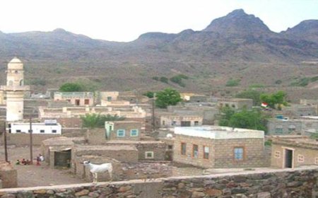 الكوليرا تجتاح قرى مديرية المسيمير بلحج 