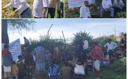 برعاية الوزير سالم السقطري      إقامة يوم الحقل لمنتجي محصول القمح بمديرية الحد   