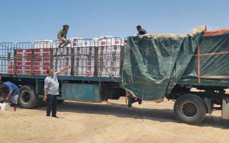 نزول لجنة من وزارة الزراعة والأسماك إلى منطقة عمران لمعاينة شاحنة مبيدات حشرية مضبوطه