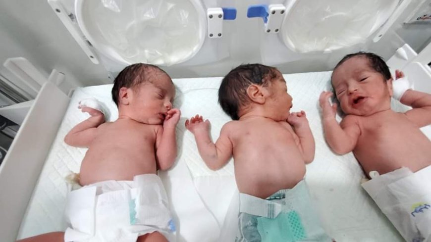 ولادة نادرة لثلاثة أطفال "توائم" في مأرب 