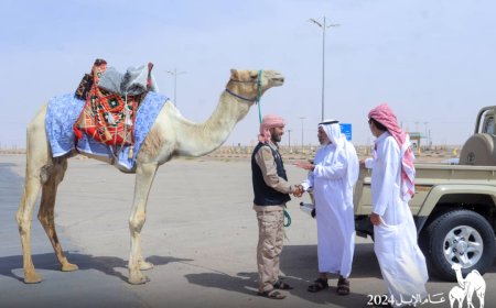 الرحالة اليمني يناشد السلطات السعودية بمنحة ترخيص لاستئناف رحلته إلى مكة المكرمة