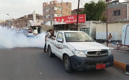 قسم صحة البيئة بالتواهي نفذ حملة الرش الضبابي لأحياء المديرية 