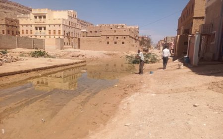 فريق الاستجابة بمديرية شبام حضرموت يقوم بنزول ميداني لرش البعوض في مياه الامطار الراكده في مناطق المديرية