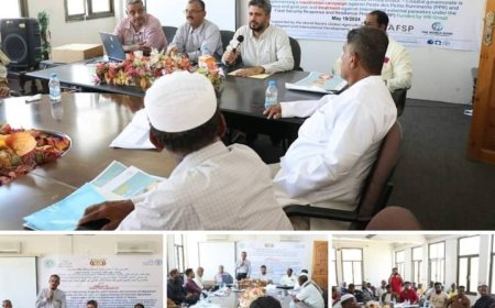 ورشة عمل بالمكلا تستهدف العاملين بحملة التحصين ضد مرض طاعون المجترات الصغيرة وجدري الأغنام والماعز بساحل حضرموت