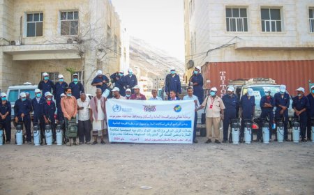 البرنامج الوطني لمكافحة الملاريا   مرعي و جعول يدشنان حملات الرش اليرقي وإزالة بؤر التوالد والتوعية المجتمعية لمكافحة الملاريا وحمى الضنك 