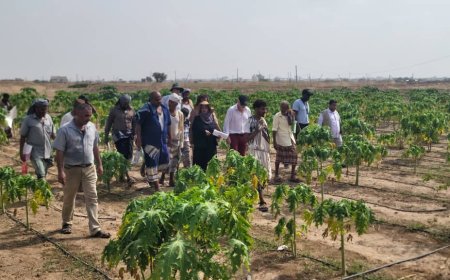 وزارة الزراعة والإرشاد الزراعي والأيفاد والفاو يقفون أمام مشروع تنمية سبل العيش الريفي