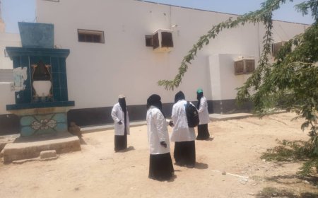 انطلاق حملة التثقيف والتفتيش لمكافحة الضنك والملايا بمديرية شبام حضرموت 