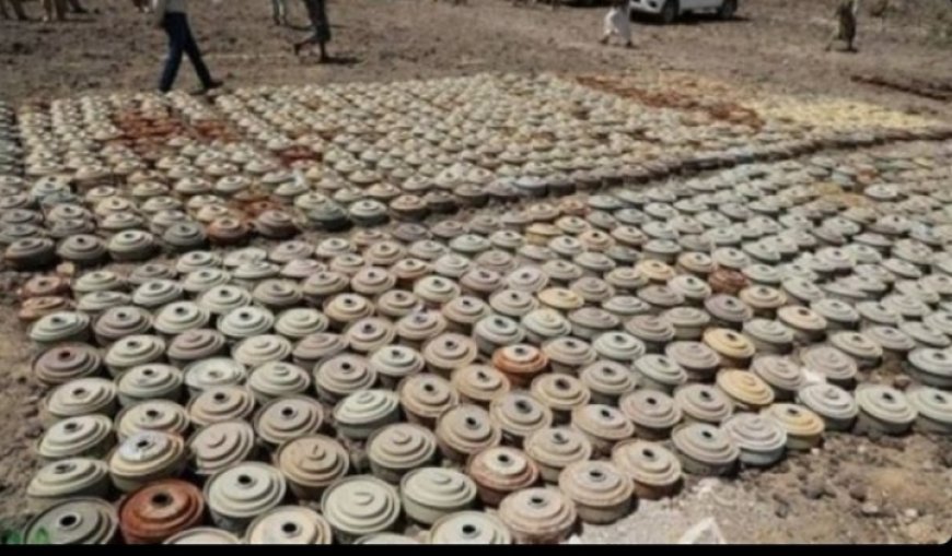  تقرير أممي يرصد ضحايا ألغام الحوثيين في محافظة الحديدة خلال عام..