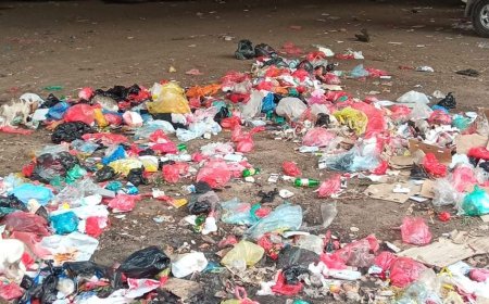 القمامة تُحاصر فرزة الهاشمي في عدن (صورة)