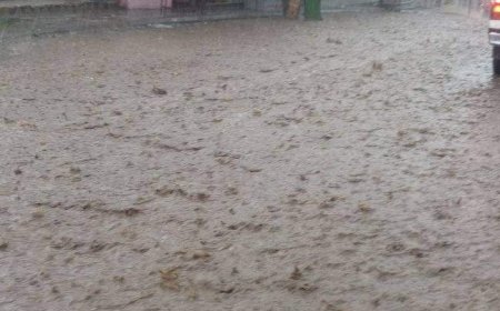 عاجل:سيول جارفة تشهدها التربة في تعز (صورة)