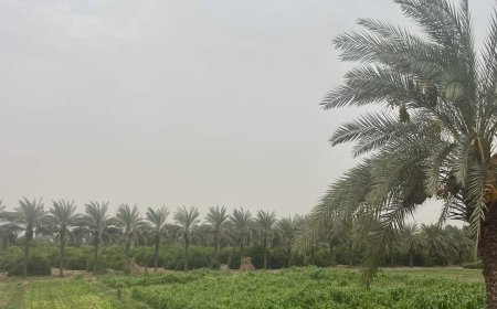 ناشط سياسي: إفتتاح مصنع بيرة مطلب شعبي ويطالب دول التحالف العربي واللجنة الرباعية توفير الحماية له