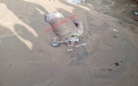 عاجل :شاهد صورة لحظة العثور على جثث في الحديدة جرفتها سيول جارفة