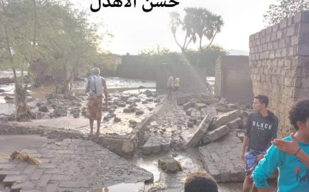 عاجل : العثور على 3 جثث جرفتها السيول في زبيد بالحديدة 