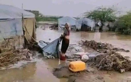 عاجل :بدأ كل شيء يتضح.. كشفت أشعة الشمس عن مشهد مروع للمنازل في الحديدة عقب سيول جارفة (صور)