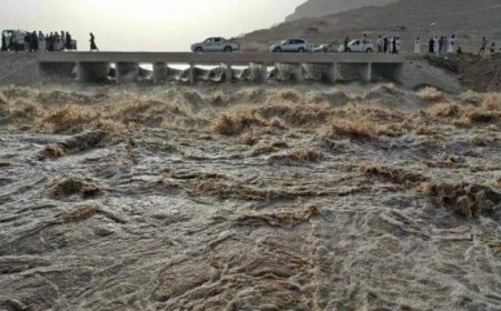 عاجل: وسط مناشدات لإنقاذهم.. سيول وادي سردود يدخل في هذه اللحظات منازل هذه المديريات ال3 بالحديدة (تعرف عليها)