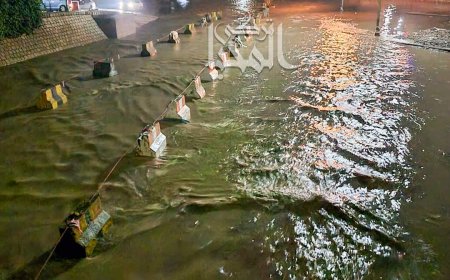 عاجل :على غرار الحديدة..هكذا تبدو سايلة مدينة #صنعاء  بعد أن هدأت السيول الكثيفة(صورة)
