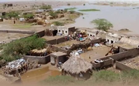 جمعية الهلال الأحمر اليمني تعلن حصيلة ضحايا سيول الأمطار