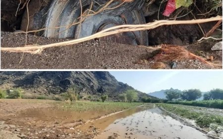 المركز التنفيذي للتعامل مع الألغام يحذر سكان الحديدة من كارثة جديدة.