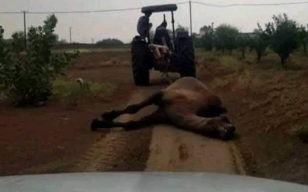 عاجل :شاهد صور لبعض الأضرار من العاصفة الرعدية بالوادي في مأرب والوحدة التنفيذية تعلن عن حصيلة الإعصار 