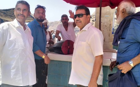 محلي صيرة ينفذ نزول لمراقبة أسعار الاسماك في حراج صيرة