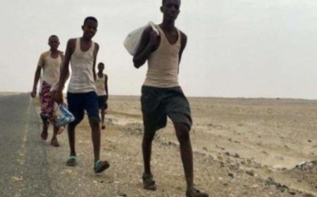 الأجهزة الأمنية في المهرة تضبط شبكة تهريب مهاجرين غير شرعيين..