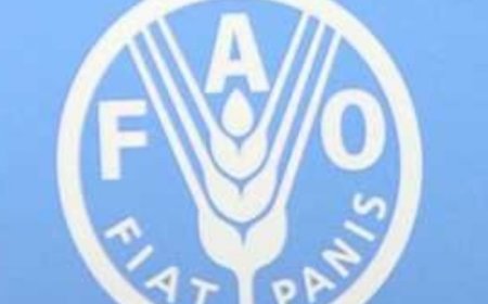 منظمة الفاو تحذر من تعرض 6 محافظات شمالية لفيضانات شديدة في الأيام المقبلة ..