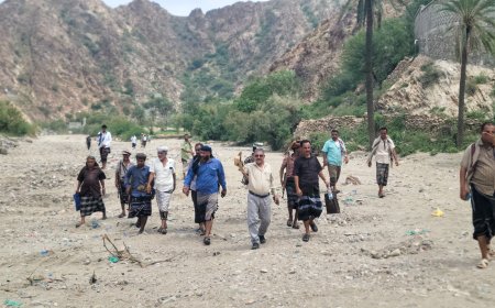 بتكليف من الوزير السقطري ومحافظ لحج.. فريق من وزارة الزراعة والأسماك يتفقد المواقع المتضررة في طور الباحة بلحجع