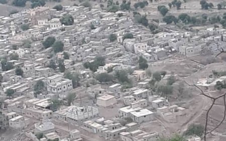 الأستاذ أسامة الشيبي "أبو منير".. نموذج فريد في الانضباط ومدرسة مستقلة في الإدارة